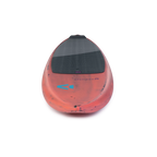Foilboard Downwinder SLS